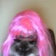 kaityx