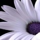 moniq_8