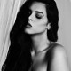carinafox