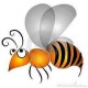 waspberry