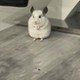 patrykdworak98
