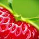 StrawberryJelly