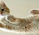 Nathalie_006