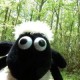VeryAwesomeSheep