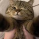 KC_23
