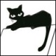 Chat_Noir