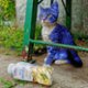NinjaGus