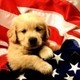 kelly_182