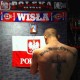 danio_tsw