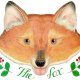 _foxy_
