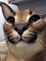 819216384