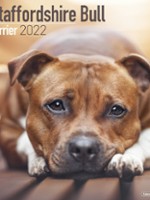 StaffordshireBullterrier
