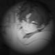 Tym_12