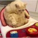 Gosia_frackowiak77