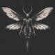 fuckinbutterfly