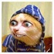 Madek