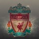 anialfc