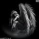 _Anette_