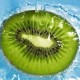 Iwi_Kiwi