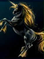 black_unicorn_