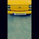 wdowa_po_leninie