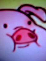iroku