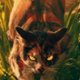 TigerSong