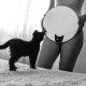 Ponury_Absurd