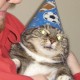 shir0neko
