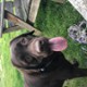 Anka_Oo