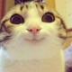 Qslimok5