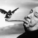 Ptak__Hitchcocka