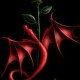 costi_2