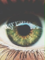 colourme