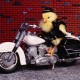 zorro_666