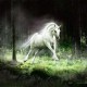 Like_Unicorn