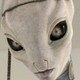 Taun_We