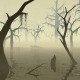 swampy