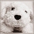 lily_90