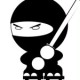 ninja_4