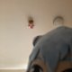 ProGamerSonic23