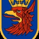 Mariusz_Sapinski