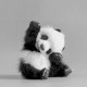 Kacha_20