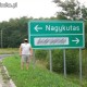 nagykutas