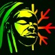 zagubiony_rasta