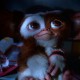 gizmo633