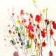 rainbow_woman