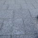karol_nowakowski_2