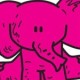 PinkElephant