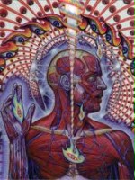 lateralus01